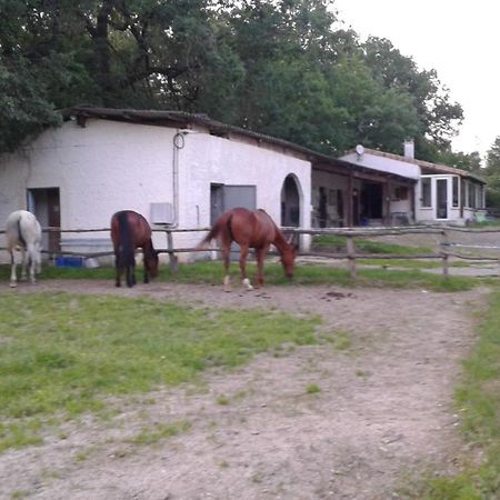 Ferme Equestre Des Abrons Villa Pailloles Eksteriør billede