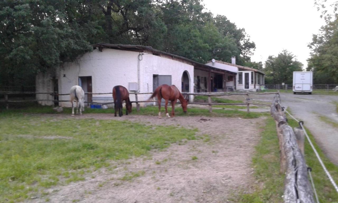 Ferme Equestre Des Abrons Villa Pailloles Eksteriør billede