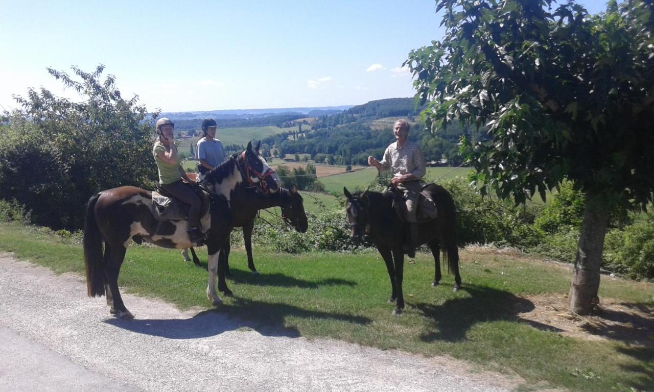 Ferme Equestre Des Abrons Villa Pailloles Eksteriør billede